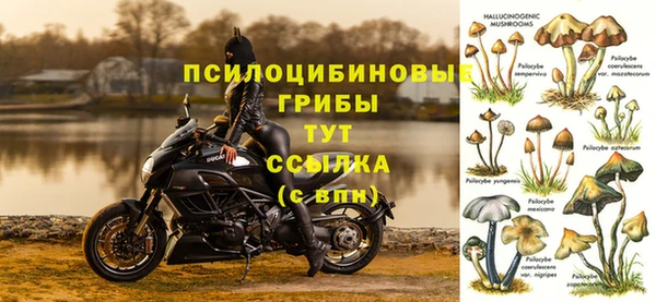 твердый Михайлов