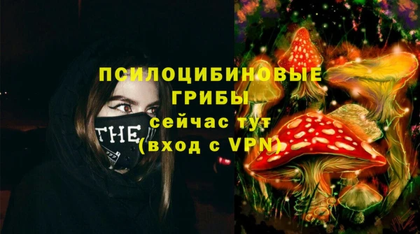 твердый Михайлов