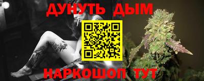 сатива Кингисепп