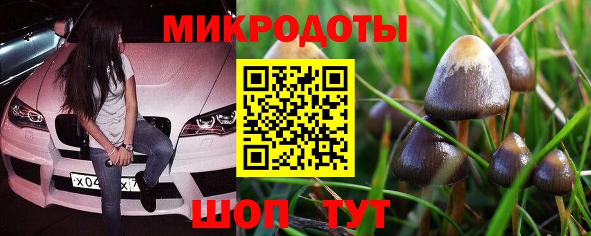 Мелеуз  Псилоцибиновые грибы мухоморы  Вход с VPN  Псилоцибиновые грибы мицелий 